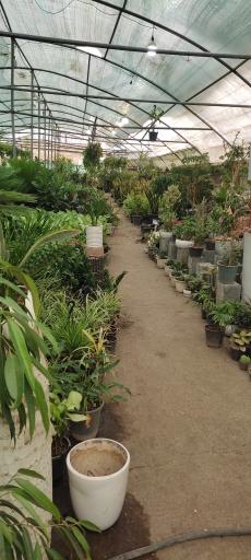 عکس قصر گل دهکده