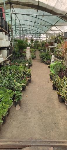 عکس قصر گل دهکده