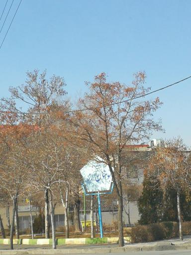 عکس بوستان رز