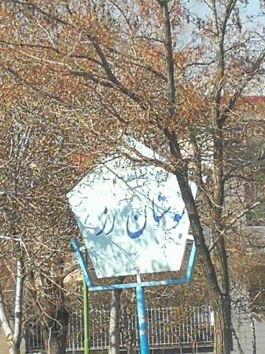 عکس بوستان رز