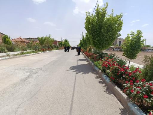 عکس دانشگاه سراسری میبد