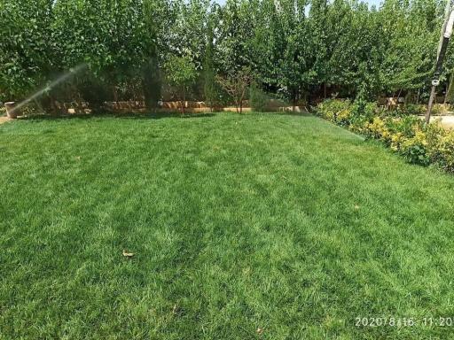 عکس فروشگاه چمن مصنوعی جهان