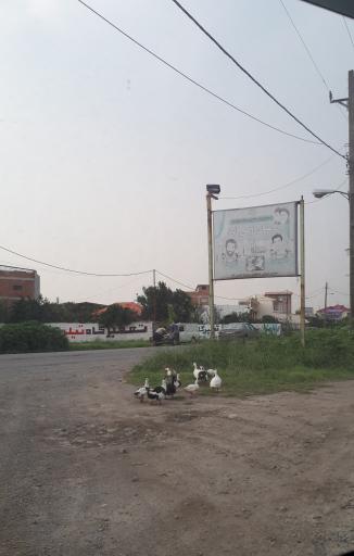 اوجی آباد
