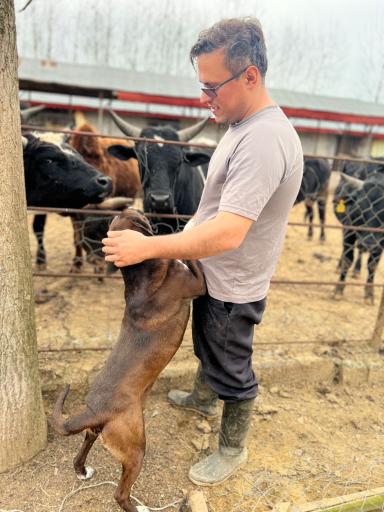 عکس مزرعه عمو عسکر