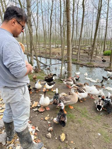 عکس مزرعه عمو عسکر