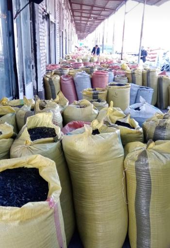 عکس خشکبار علیزاده