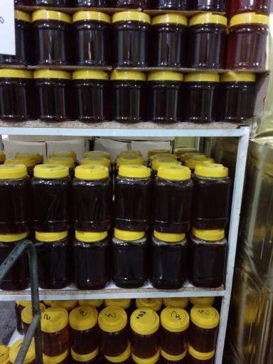 عکس خشکبار علیزاده