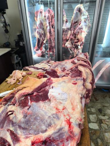 عکس قصابی واحد