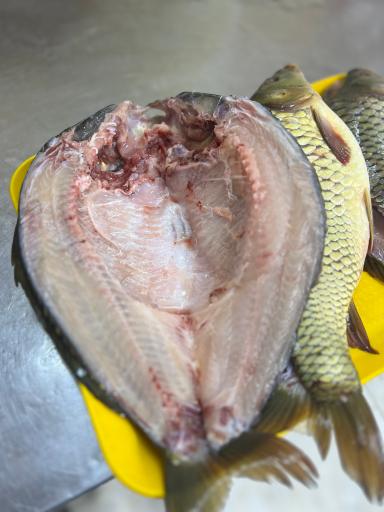 عکس کباب زغالی سعید