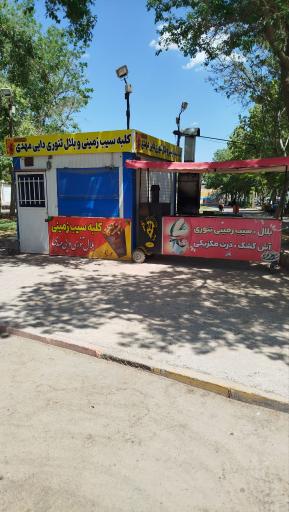 عکس سیب زمینی تنوری دایی مهدی 