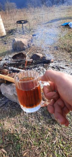عکس کیشستان