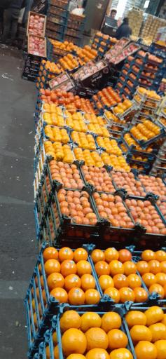 عکس غرفه میوه اصغر محمدی