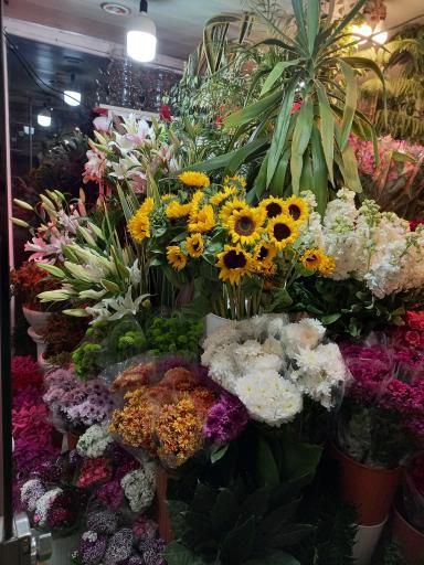 عکس گل بهشت