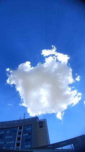 عکس کافه و رستوران رز رمیس هتل بین‌المللی رکسان و رمیس 