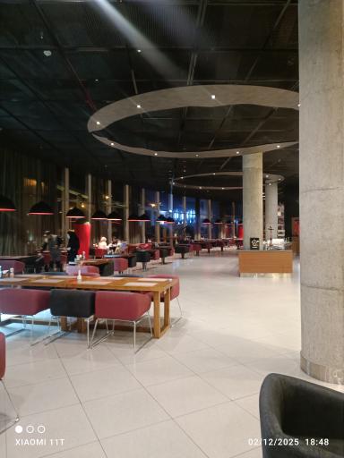 عکس کافه و رستوران رز رمیس هتل بین‌المللی رکسان و رمیس 