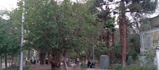 عکس بوستان شکوفه