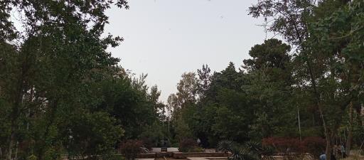 عکس بوستان شکوفه