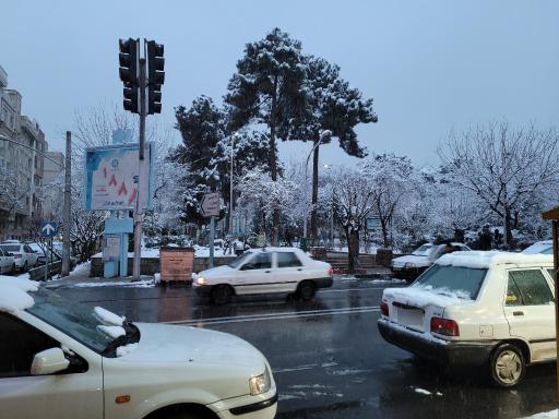 عکس بوستان شکوفه