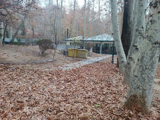 عکس کافه سعدآباد