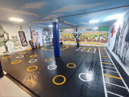 عکس مجموعه فرهنگی ورزشی علیسان