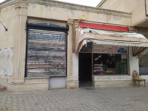 عکس تاکسی تلفنی شبانه روزی  لاله