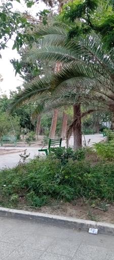 عکس بوستان شکوفه