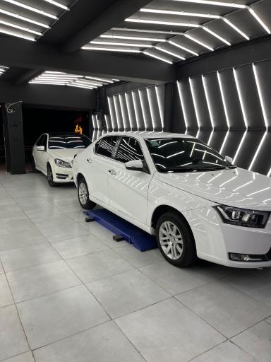 عکس تشخیص رنگ و دیتیلینگ کارنو