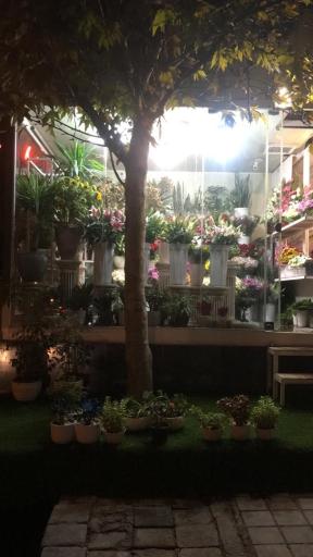 عکس گل بهشت