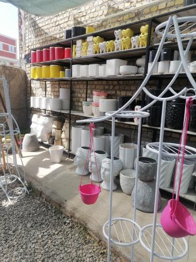 عکس گلخانه بهشت 