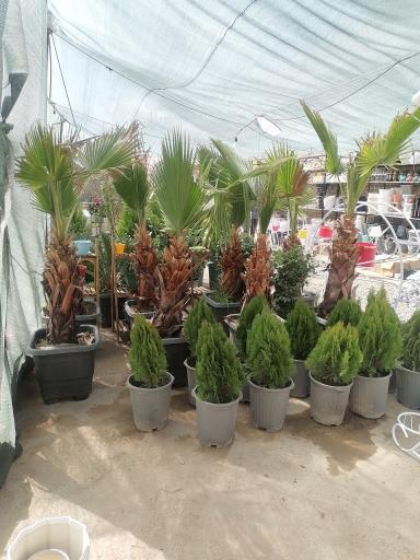 عکس گلخانه بهشت 