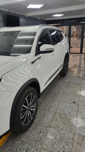 عکس کارشناسی و تشخیص رنگ عابدی