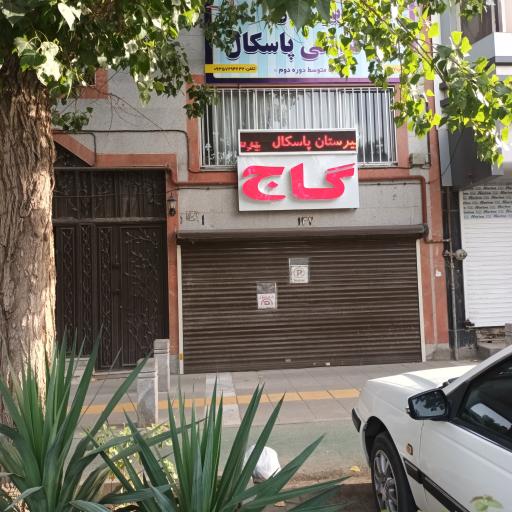 موسسه گاج پسران