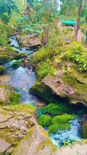 عکس چشمه دمکش