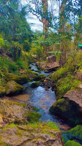 عکس چشمه دمکش