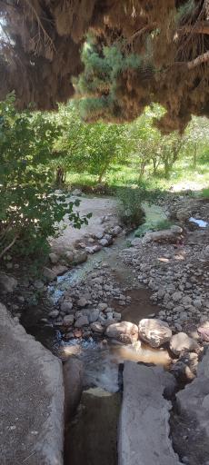 عکس اندرخ