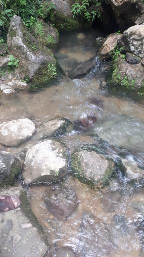 عکس چشمه دمکش