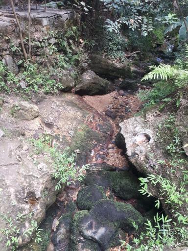 عکس چشمه دمکش