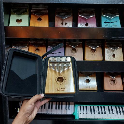 عکس گالری موسیقی فراسو