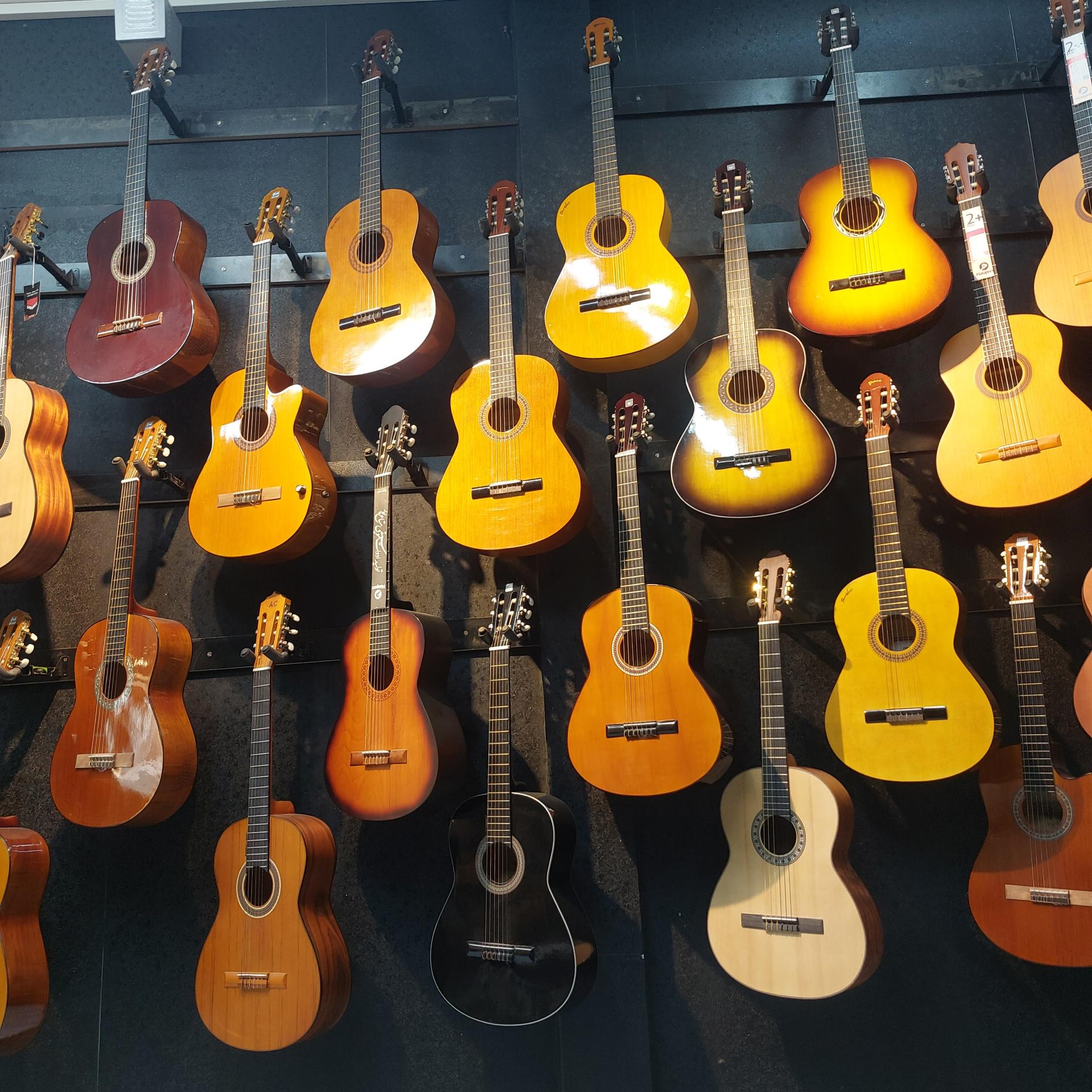 عکس گالری موسیقی فراسو