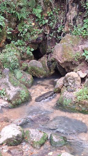 عکس چشمه دمکش