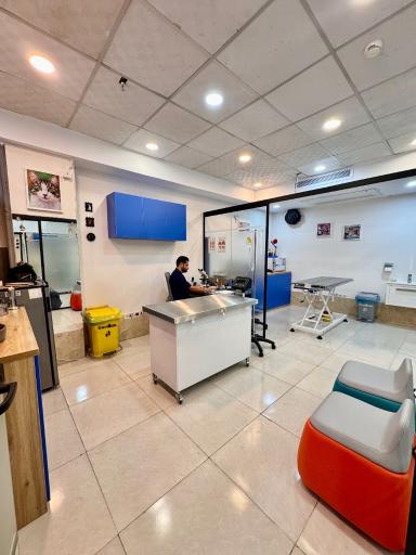 عکس کلینیک دامپزشکی رنیسا