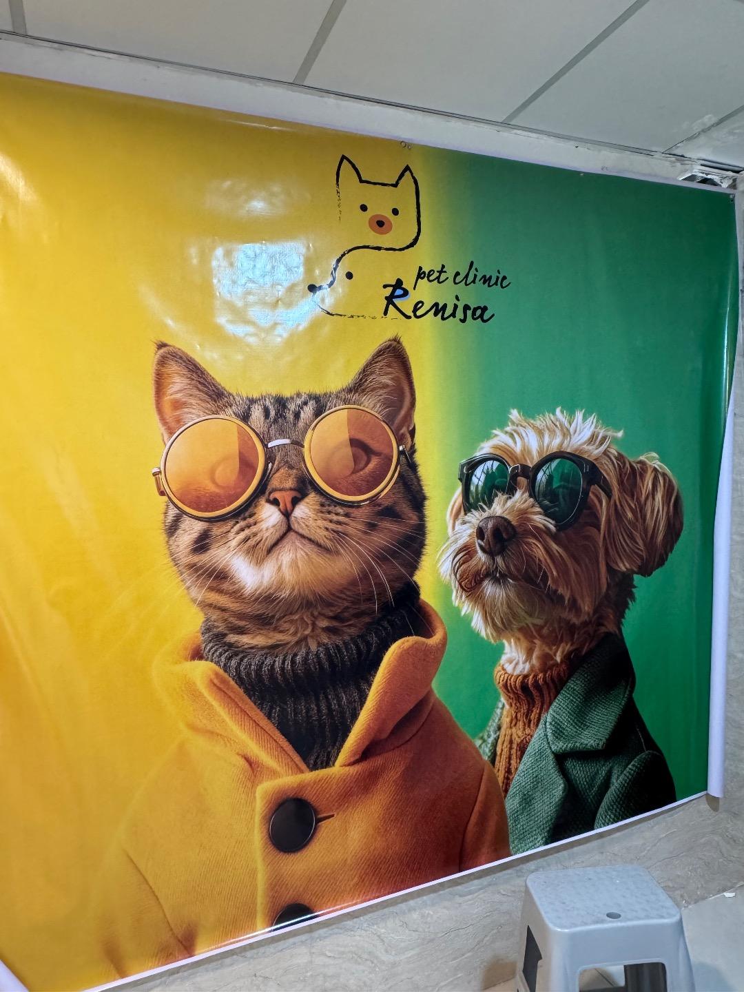 عکس کلینیک دامپزشکی رنیسا