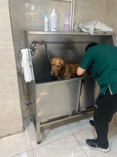 عکس کلینیک دامپزشکی رنیسا