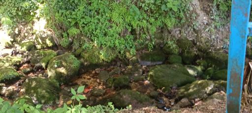 عکس چشمه دمکش