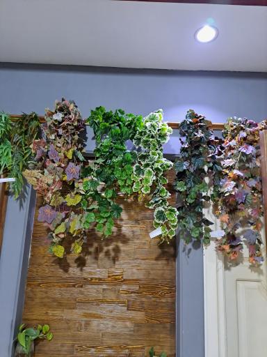 عکس چمن مصنوعی اکسپوز