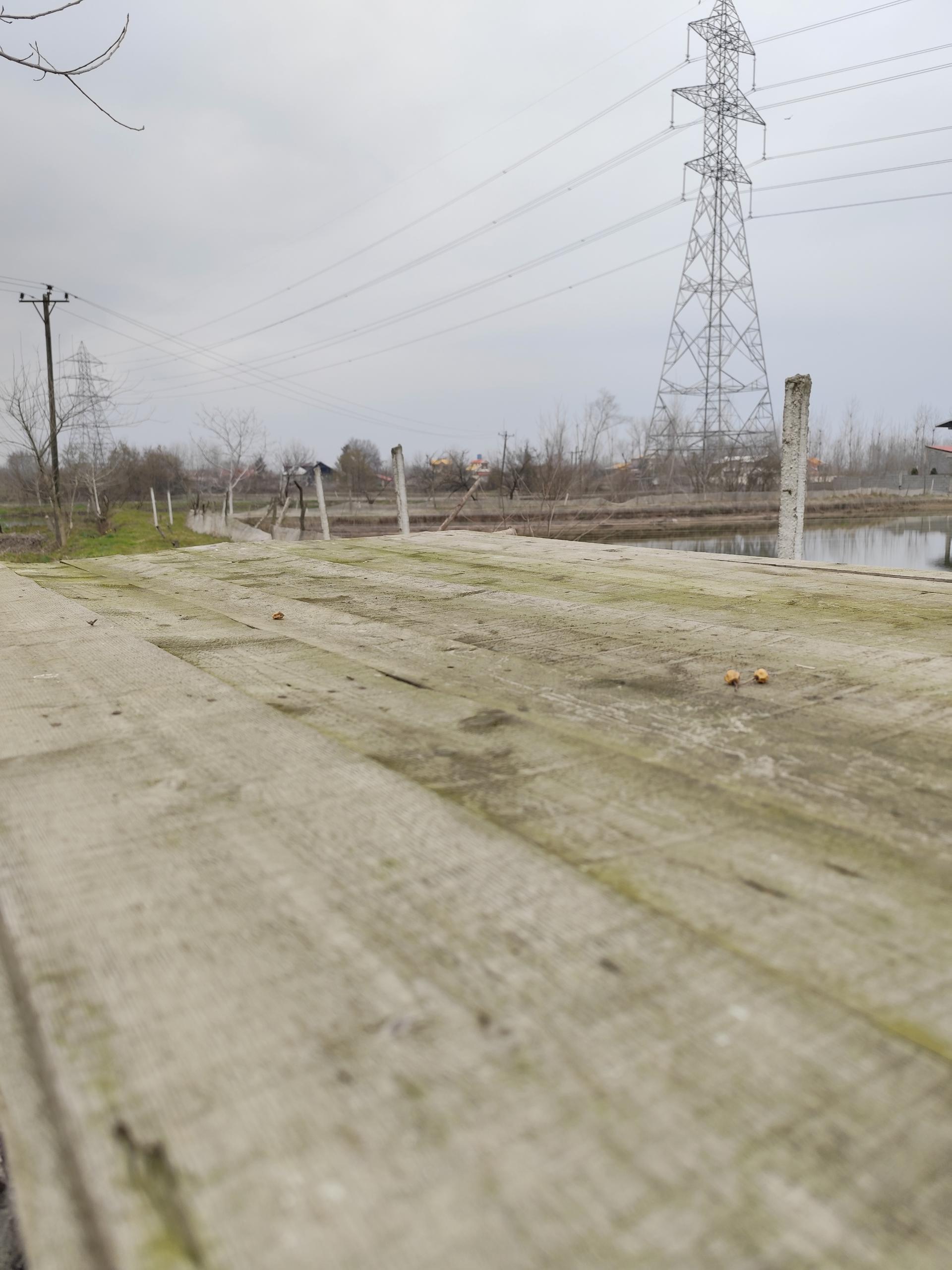 عکس مجموعه آبزیان رشیدی 