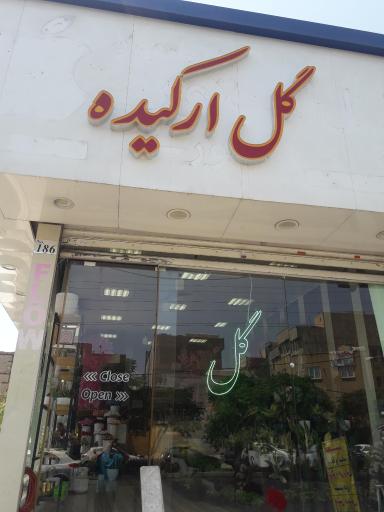 عکس گل فروشی ارکیده