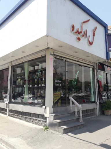 گل فروشی ارکیده