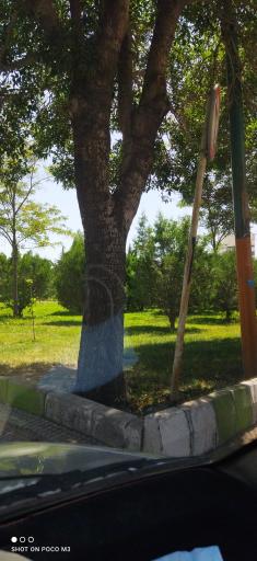 عکس پارک بعثت