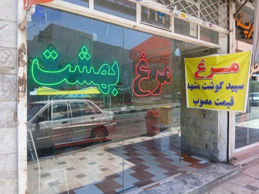 عکس مرغ بهشت